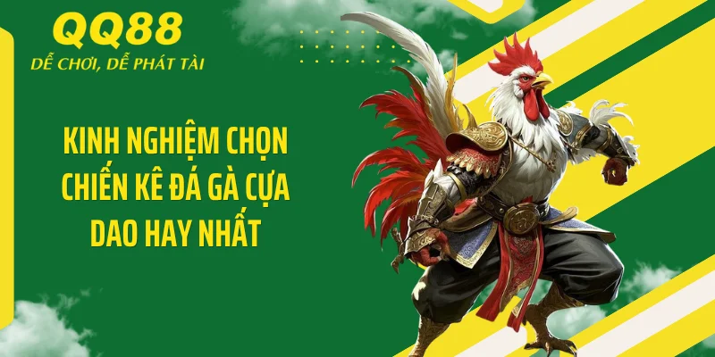 Kinh nghiệm chọn chiến kê đá gà cựa dao hay nhất