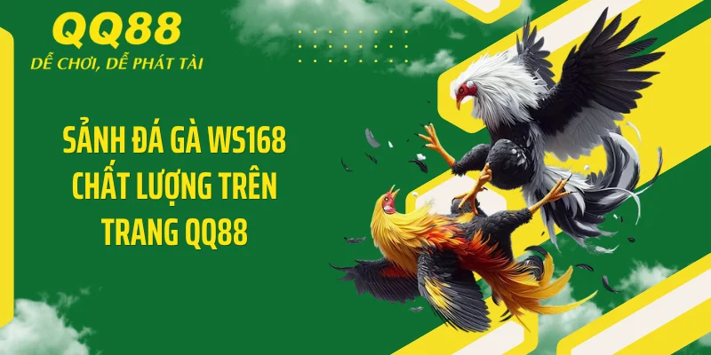 Đá Gà WS168 - Bộc Phá Sàn Cược QQ88 Với Ngàn Hạ Gục 2 Sảnh đá gà WS168 chất lượng trên trang QQ88