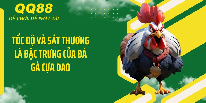 Tốc độ và sát thương là đặc trưng của đá gà cựa dao